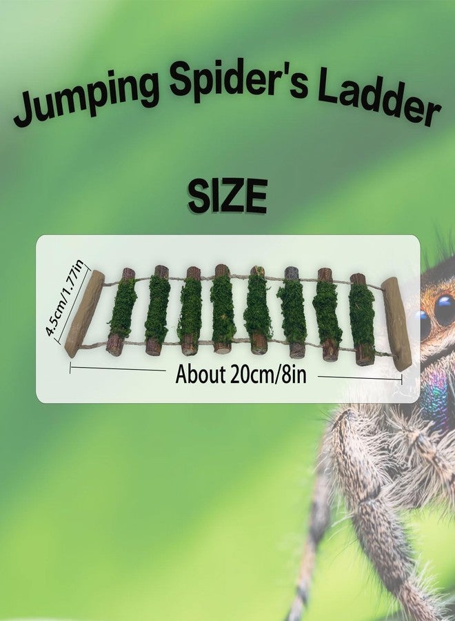 Daerky Jumping Spider Rope Bridge,A Solid Wood Climbing Suspension Bridge, a Jumping Spider Enclosure Accessory, Handmade, a Spider Jump Platform, Used As a Decorative Accessory for Small Reptile Enclosures - Image 2